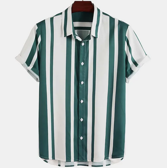 Hudson Stripe Shirt