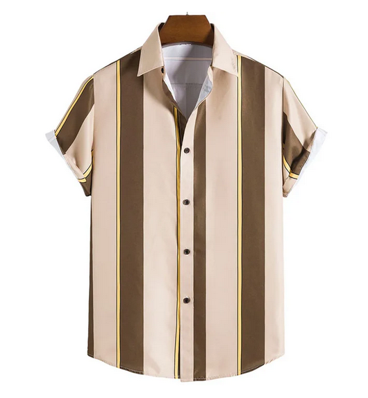 Hudson Stripe Shirt